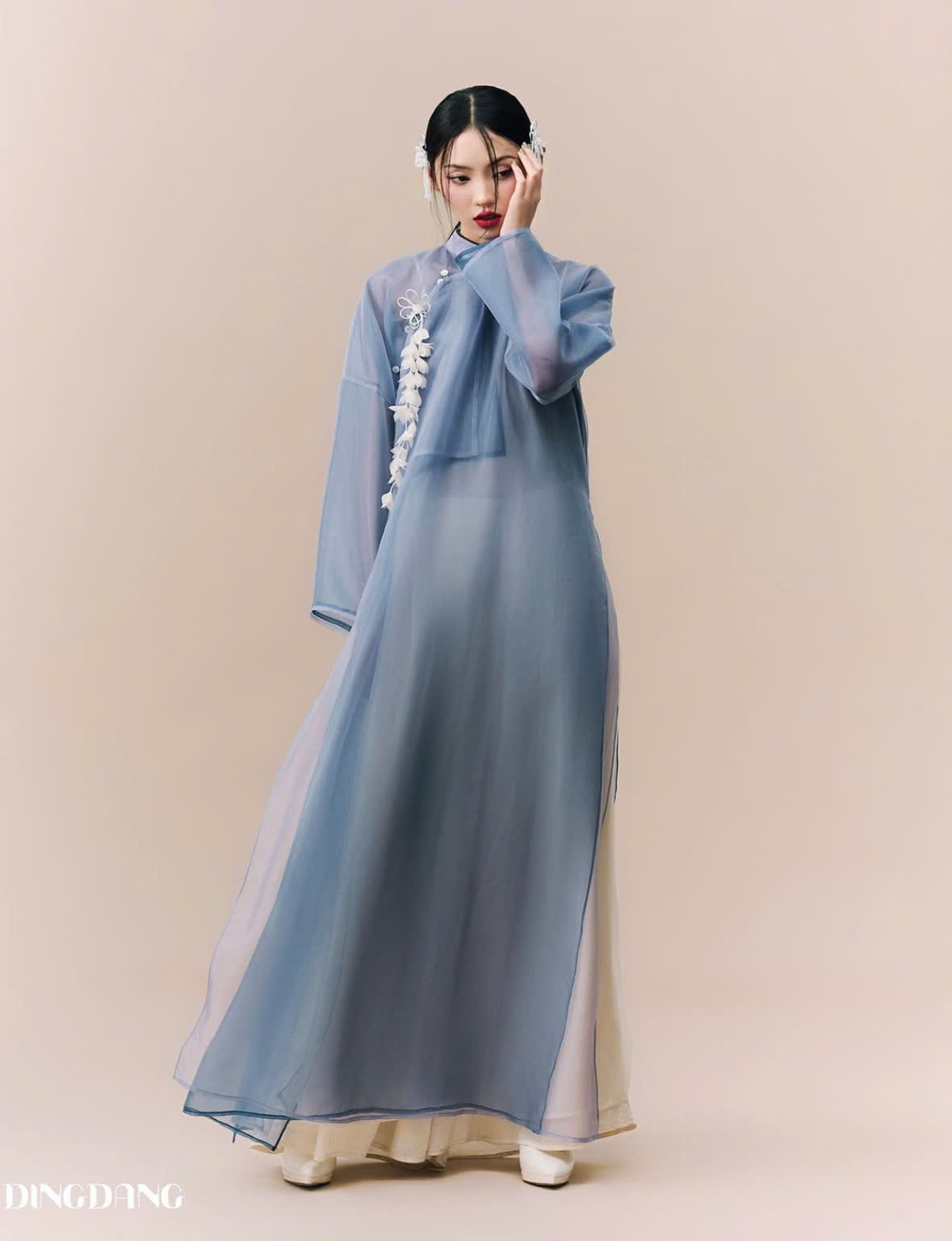AODAI278