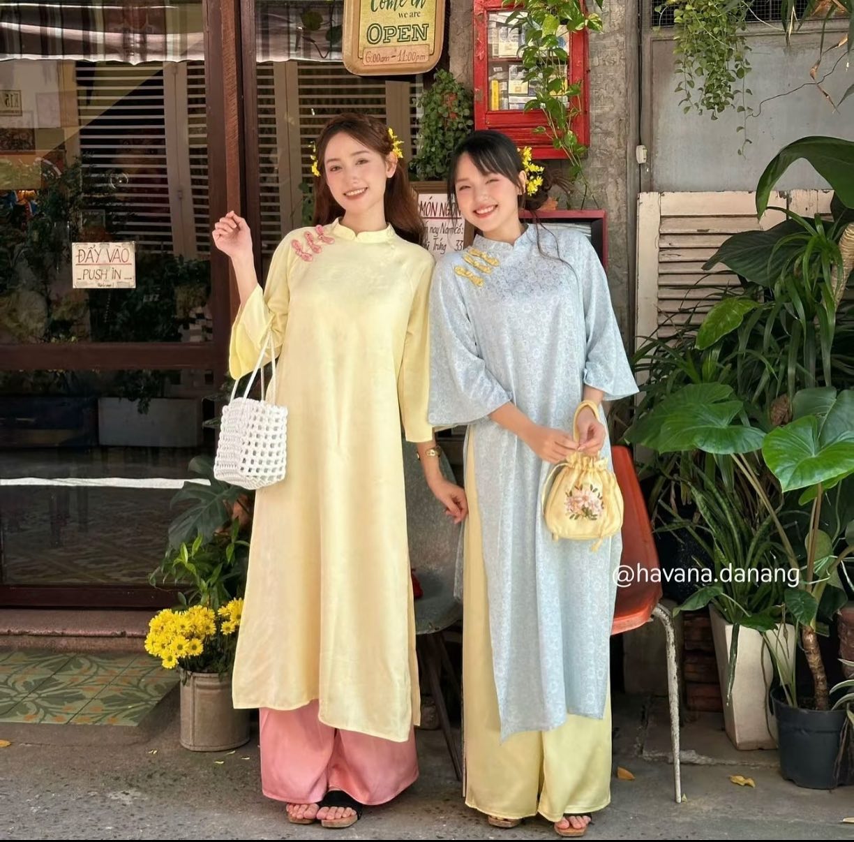AODAI171 thumb 2