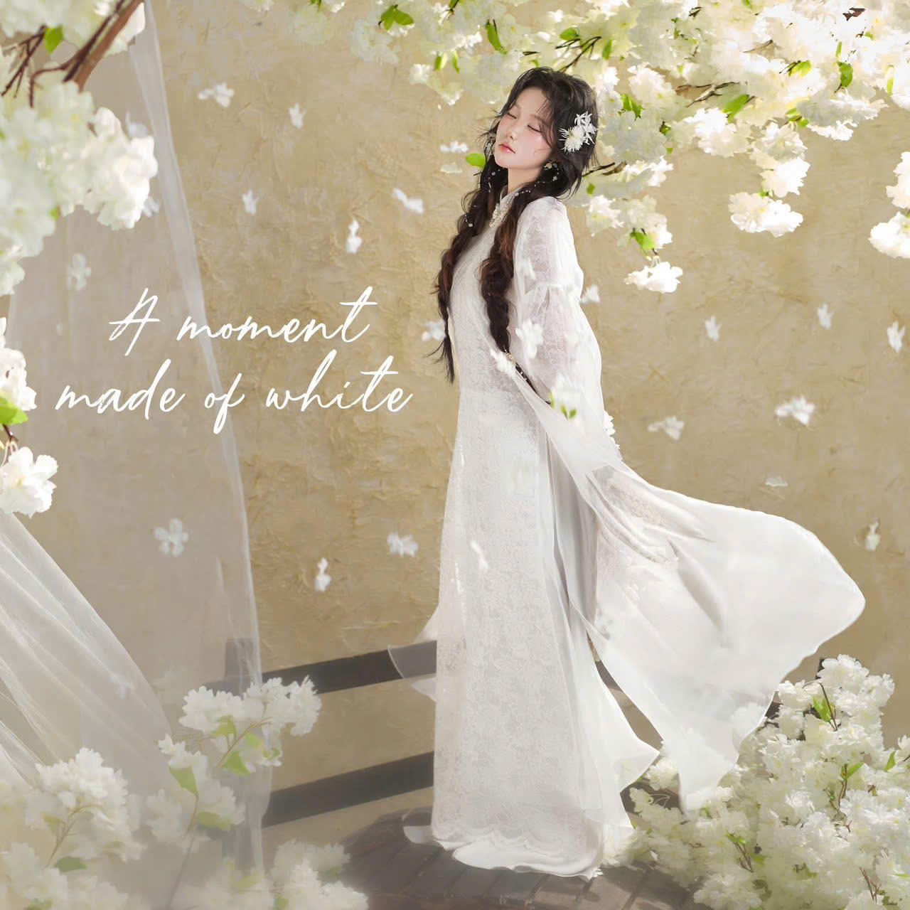 AODAI257 thumb 9