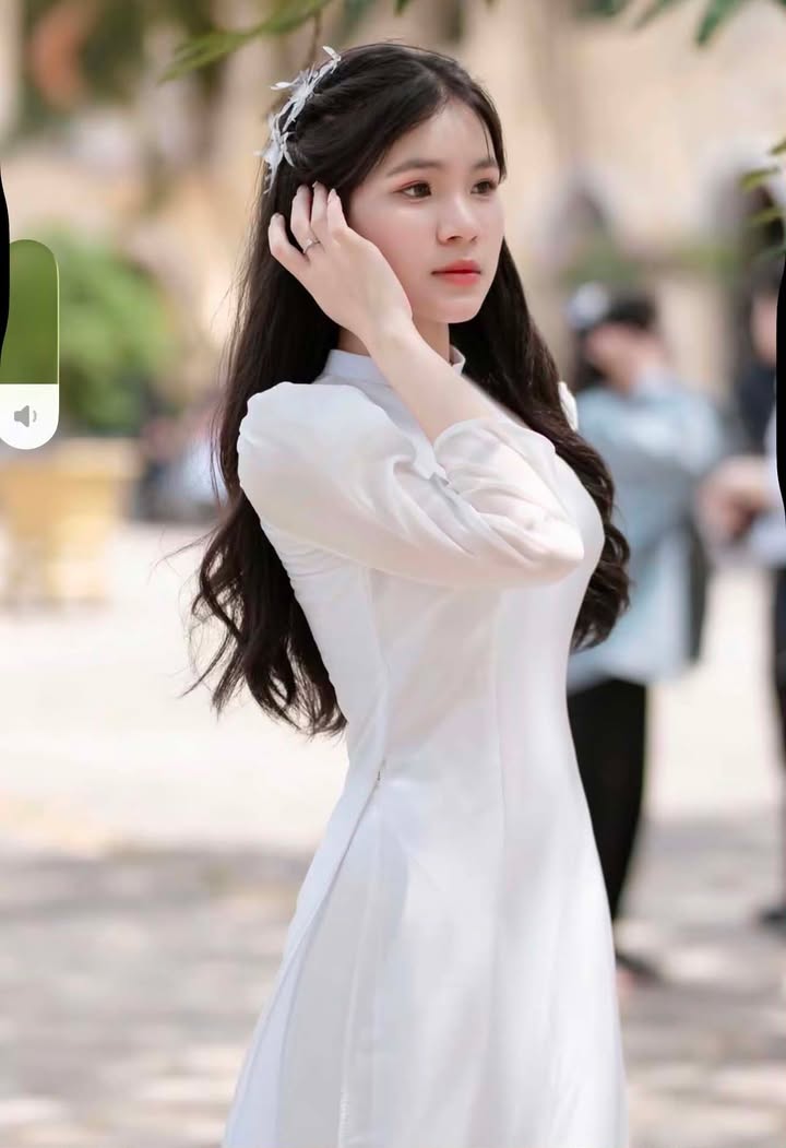 AODAI242 thumb 2