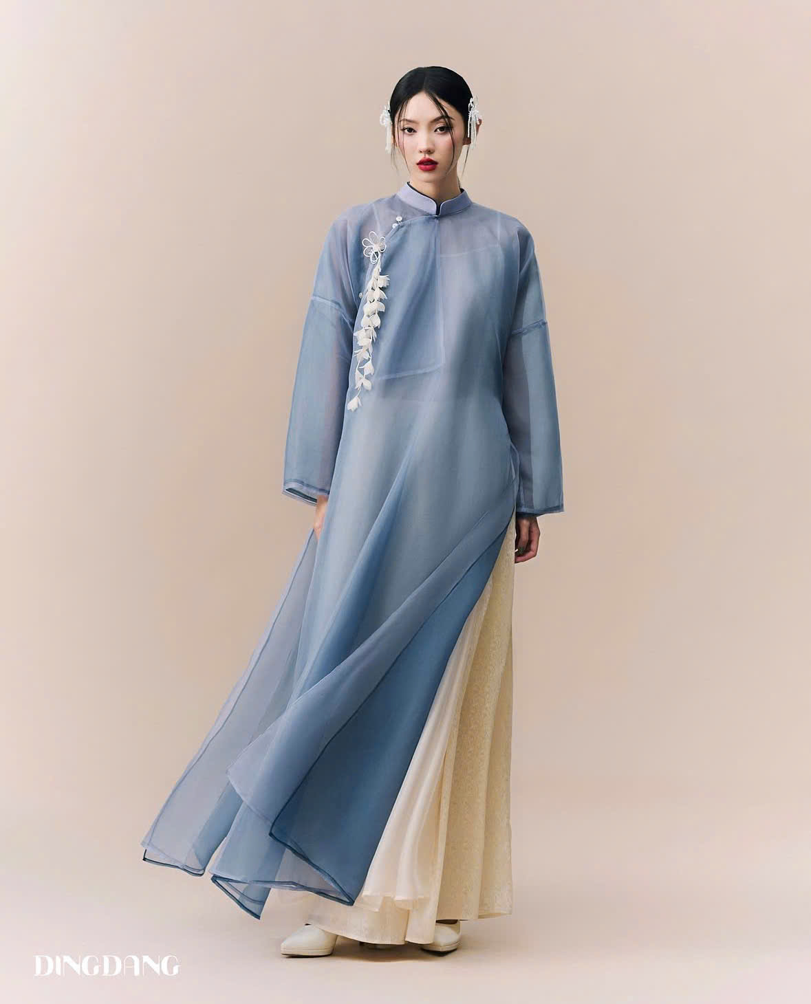 AODAI278 thumb 6