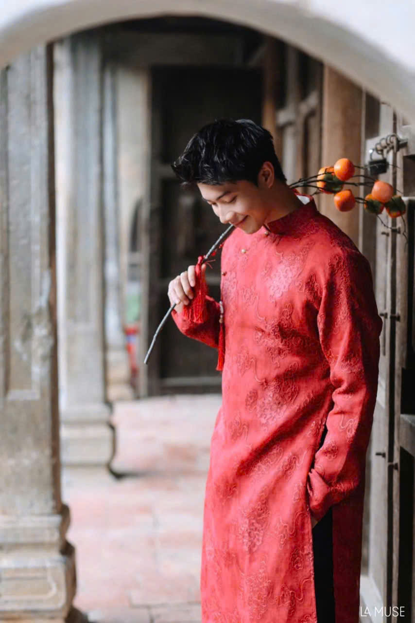 AODAI310 thumb 7