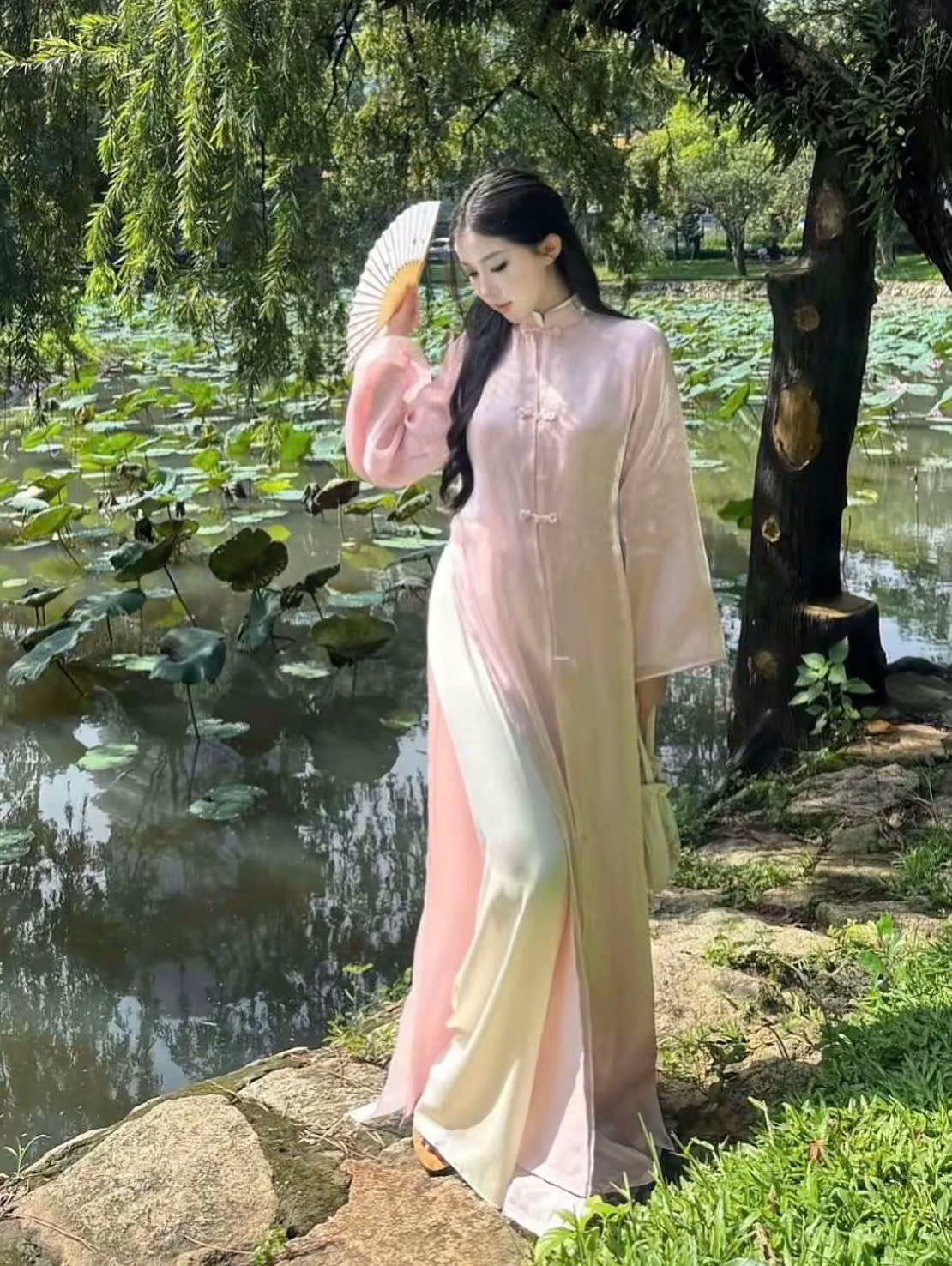 AODAI320