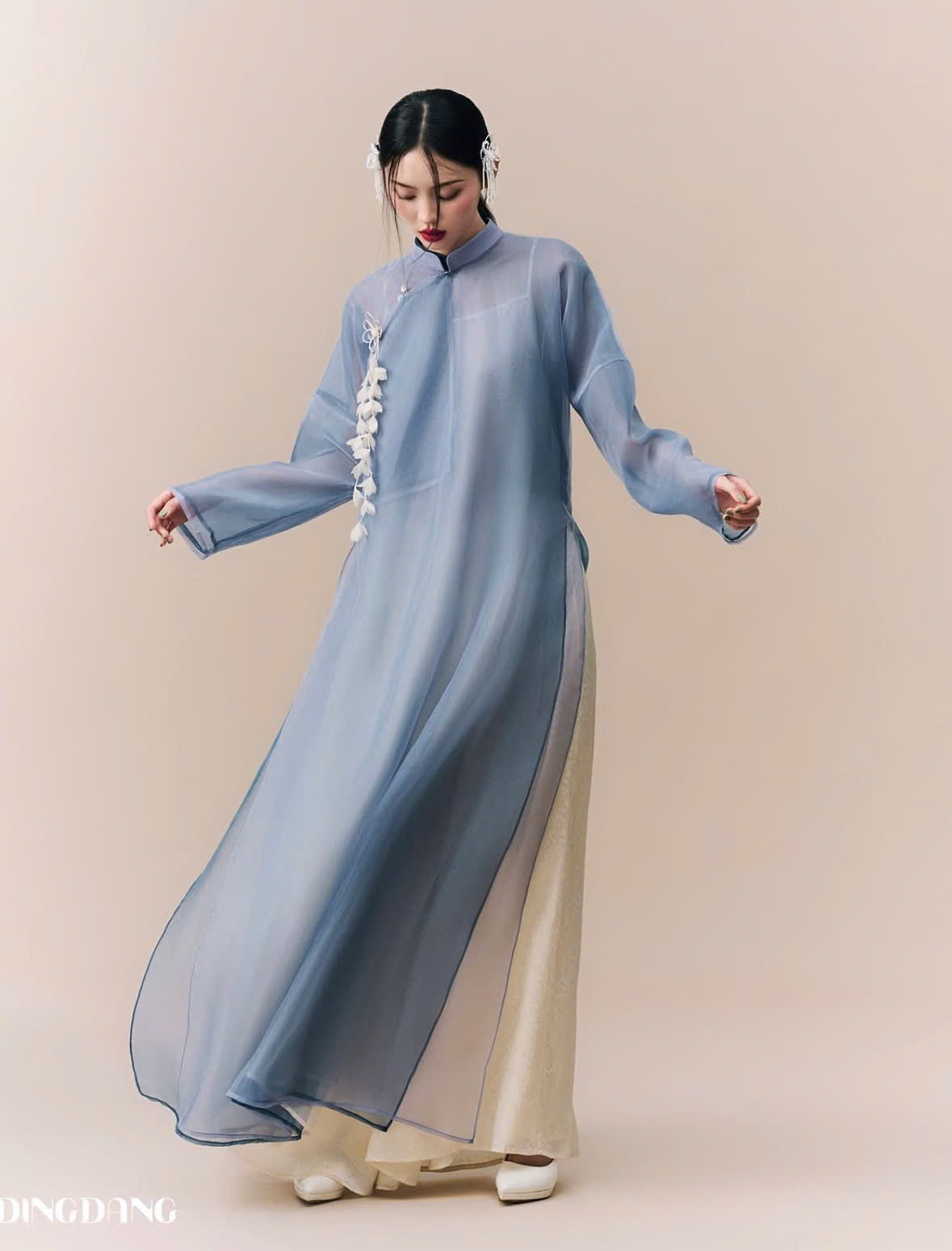 AODAI278 thumb 5